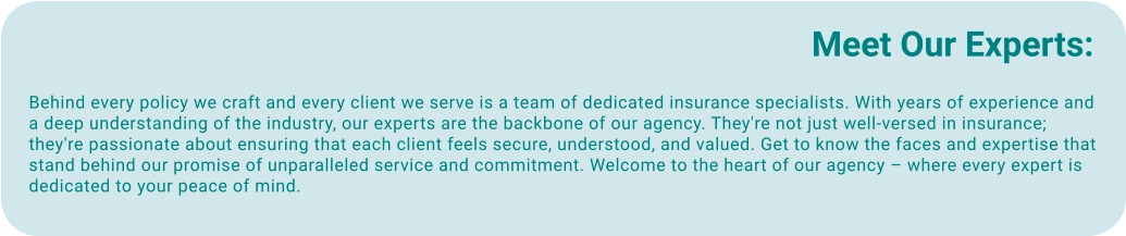 Meet Our Experts:  Behind every policy we craft and every client we serve is a team of dedicated insurance specialists. With years of experience and a deep understanding of the industry, our experts are the backbone of our agency. They're not just well-versed in insurance; they're passionate about ensuring that each client feels secure, understood, and valued. Get to know the faces and expertise that stand behind our promise of unparalleled service and commitment. Welcome to the heart of our agency – where every expert is dedicated to your peace of mind.